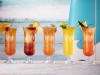 Endless Summer Resort - Surfside Inn & SuitesESR19Food Shoot050918