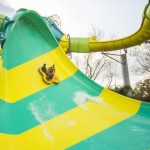 Colossal Curl. Foto Adventure Island.