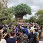 20 Aniversario de Animal Kingdom.