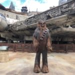 Star Wars: Galaxy's Edge. Foto Gregorio Mayí.